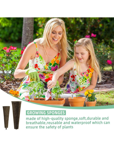 30 Esponjas de Crecimiento Feyut para Jardín Hidropónico