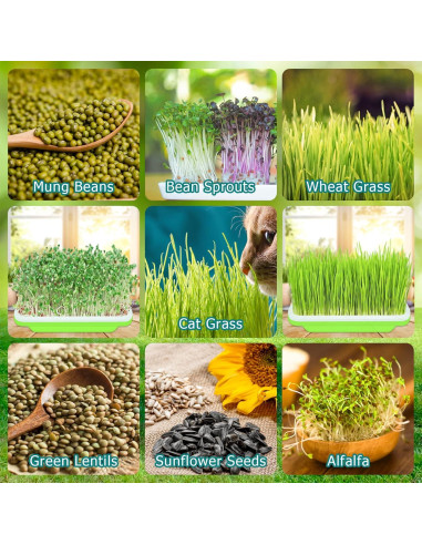 Bandejas Germinadoras Legigo 10 Paquetes Sin Tapas 33x25cm