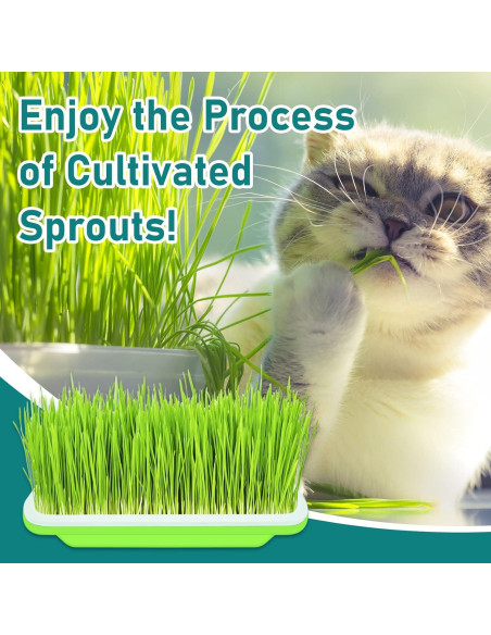 Bandejas Germinadoras Legigo 10 Paquetes Sin Tapas 33x25cm