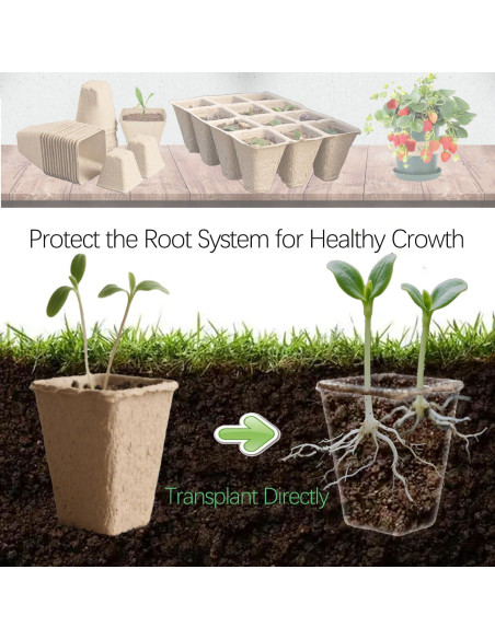 Kit de Macetas de Turba BEIGEMEI 120 Piezas Biodegradables