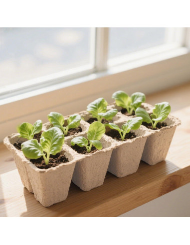 Kit de Macetas de Turba BEIGEMEI 120 Piezas Biodegradables