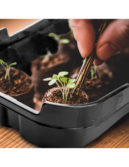 Kit de Inicio de Siembra Max Shape - 5 Bandejas 50 Celdas