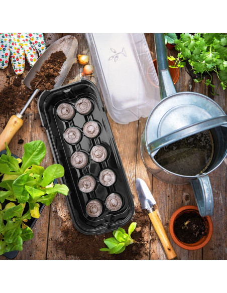 Kit de Inicio de Siembra Max Shape - 5 Bandejas 50 Celdas