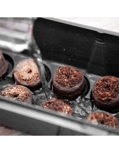 Kit de Inicio de Siembra Max Shape - 5 Bandejas 50 Celdas