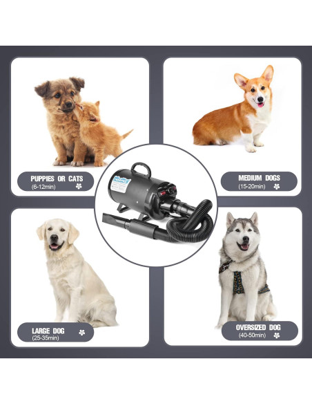 Secador de Perros HooHcc 4.5HP Ajustable con Accesorios