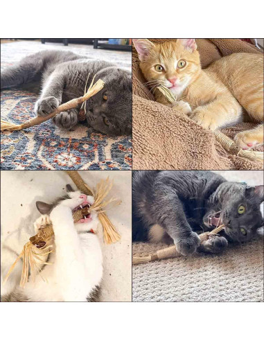 Paquete de 4 Palos de Silvervine Natural Yuntop para Gatos