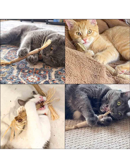 Paquete de 4 Palos de Silvervine Natural Yuntop para Gatos Paquete de 4 Palos de Silvervine Natural Yuntop para Gatos