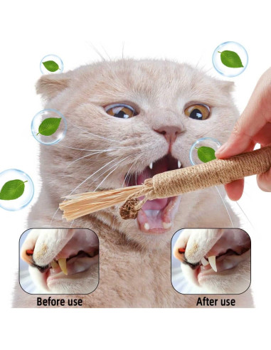 Paquete de 4 Palos de Silvervine Natural Yuntop para Gatos