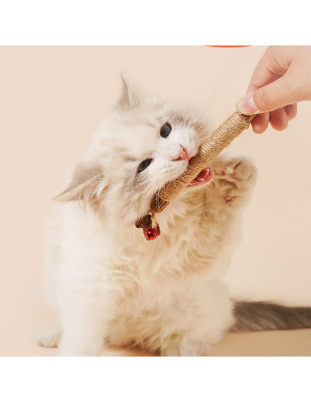 Palos Naturales de Silvervine para Gatos - 6 Pcs - Cuidado Dental