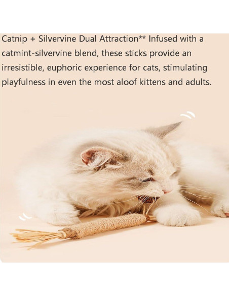 Palos Naturales de Silvervine para Gatos - 6 Pcs - Cuidado Dental
