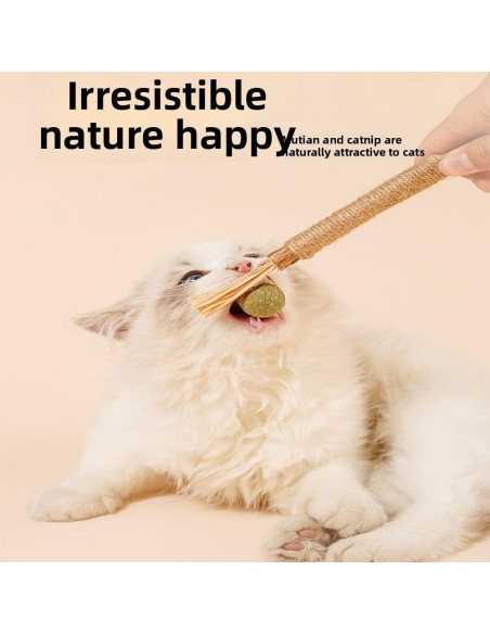 Palos Naturales de Silvervine para Gatos - 6 Pcs - Cuidado Dental