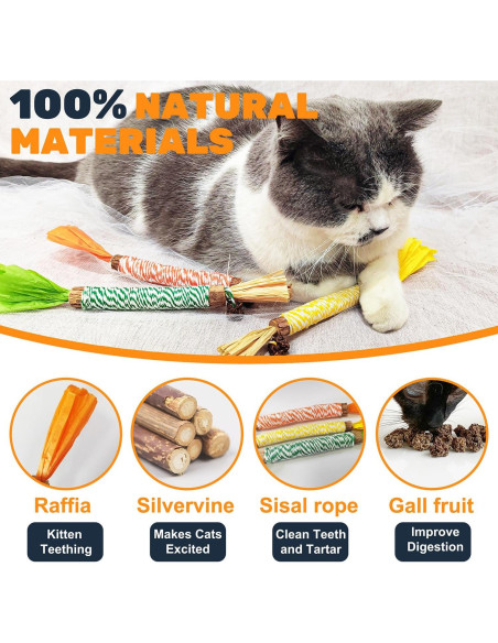 12 Juguetes de Masticar para Gatos Sysmashing - Silvervine Natural