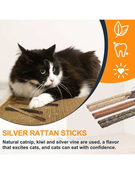 12 Juguetes de Masticar para Gatos Sysmashing - Silvervine Natural