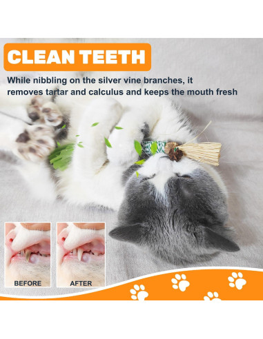 12 Juguetes de Masticar para Gatos Sysmashing - Silvervine Natural