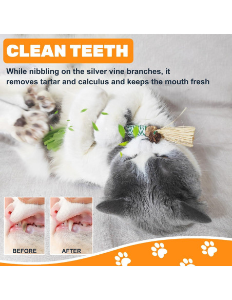 12 Juguetes de Masticar para Gatos Sysmashing - Silvervine Natural