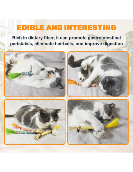 12 Juguetes de Masticar para Gatos Sysmashing - Silvervine Natural