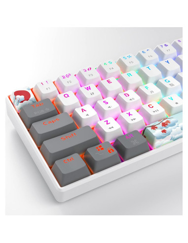 Teclado Mecánico RGB Owpkeenthy 60% Blanco Interruptor Rojo