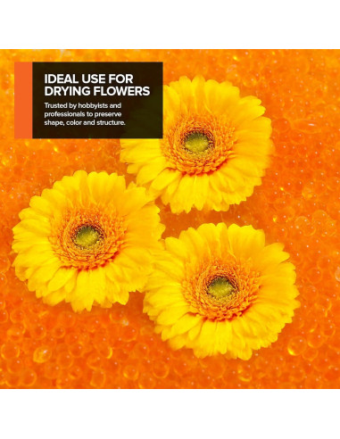 Perlas de Gel de Sílice 2 LB - Deshidratantes Reutilizables 3-5mm