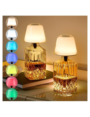 2 Pantallas de Lámpara de Botella VAPOURSKY Regulables LED