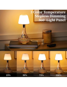 2 Pantallas de Lámpara de Botella VAPOURSKY Regulables LED 2