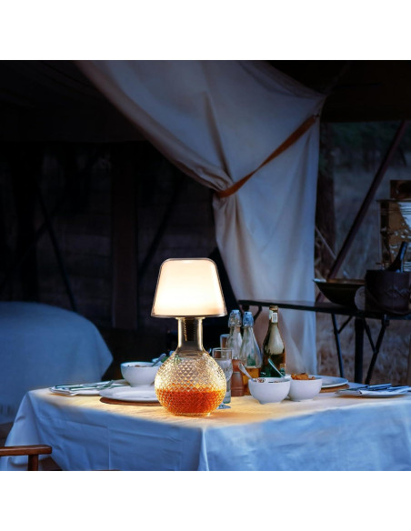 2 Pantallas de Lámpara de Botella VAPOURSKY Regulables LED