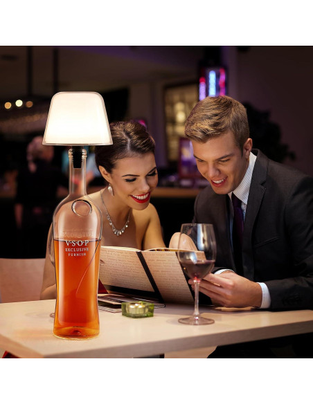 2 Pantallas de Lámpara de Botella VAPOURSKY Regulables LED