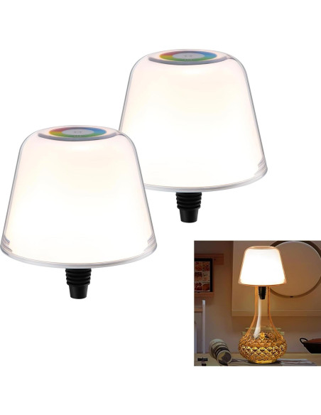 2 Pantallas de Lámpara de Botella VAPOURSKY Regulables LED