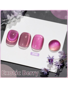 Esmalte de Uñas Gel Ojo de Gato GAOY 16ml Baya Exótica 2