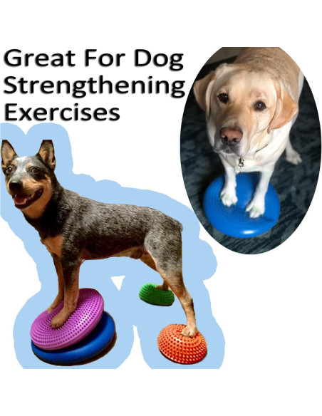 Paquete de 3 Cojines Inflables Genérico 33 cm PVC para Equilibrio