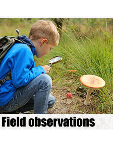 Lupa de Mano 6X COCOMK - Paquete de 2 Unidades, Vidrio Óptico