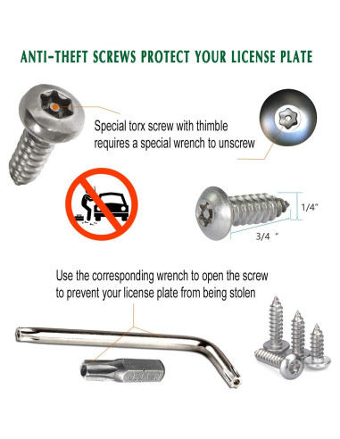 Tornillos Antirrobo M6 de Acero Inoxidable para Placas de Matrícula