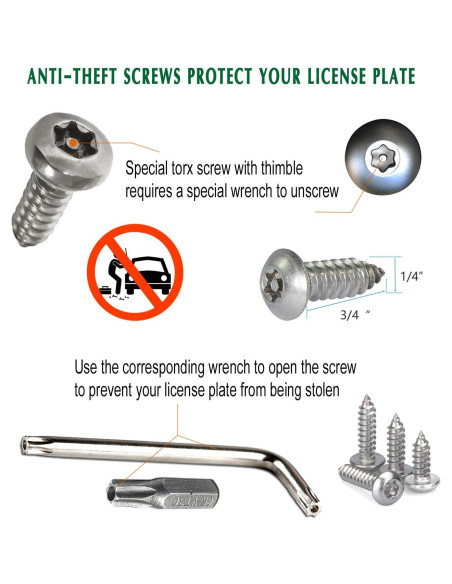 Tornillos Antirrobo M6 de Acero Inoxidable para Placas de Matrícula