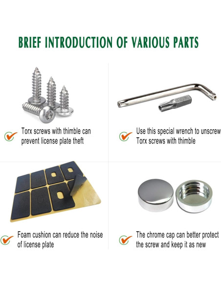 Tornillos Antirrobo M6 de Acero Inoxidable para Placas de Matrícula