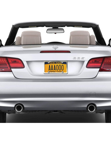 Tornillos Antirrobo M6 de Acero Inoxidable para Placas de Matrícula