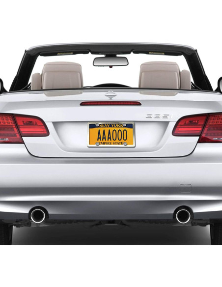 Tornillos Antirrobo M6 de Acero Inoxidable para Placas de Matrícula