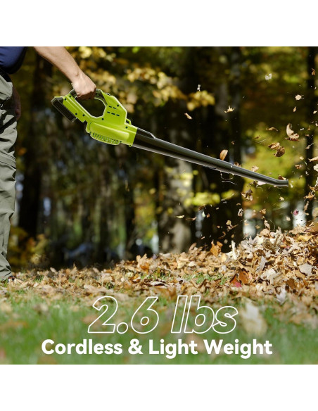 Soplador de Hojas JAGROM Inalámbrico 20V 130 km/h 180 m/h