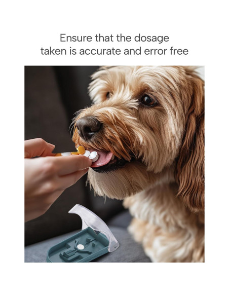 Cortador de Pastillas E ENASUE Gris con Etiquetas Medicamentos Cortador de Pastillas E ENASUE Gris con Etiquetas Medicamentos