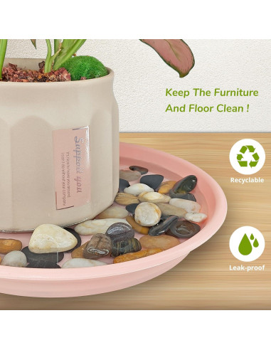 12 Platos de Goteo para Plantas ECOESPTI Rosa 17-27 cm