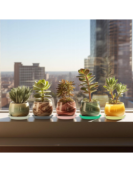 12 Platos de Goteo para Plantas ECOESPTI Rosa 17-27 cm 12 Platos de Goteo para Plantas ECOESPTI Rosa 17-27 cm