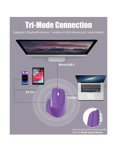 Ratón Gaming Inalámbrico TISHLED TM015-P RGB 4-Niveles DPI 2