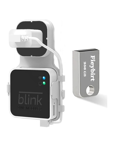 Unidad Flash USB 256GB Fieybirt + Soporte Blink 2