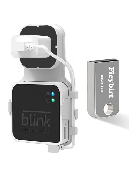 Unidad Flash USB 256GB Fieybirt + Soporte Blink 2