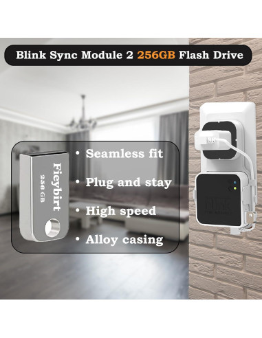 Unidad Flash USB 256GB Fieybirt + Soporte Blink 2