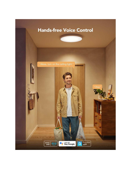 Govee Luz de Techo Inteligente LED RGBIC 30.5cm 2400LM