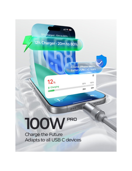 Cable USB C 3M LISEN 100W Carga Rápida Silicona Gris