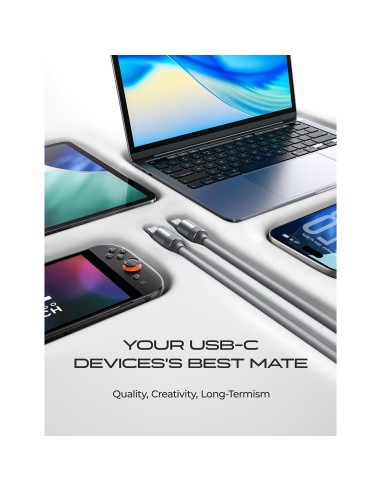 Cable USB C 3M LISEN 100W Carga Rápida Silicona Gris