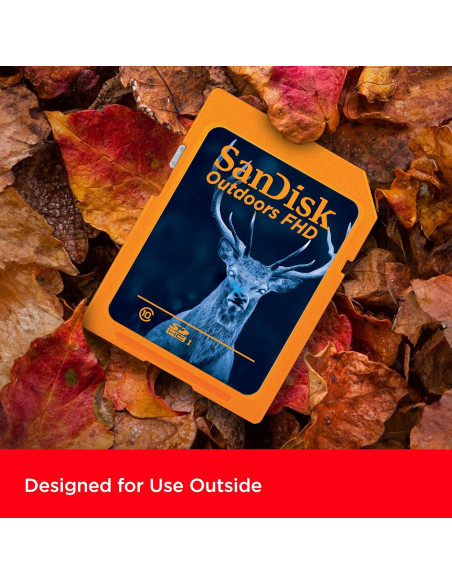 Tarjeta SD SanDisk 32GB 2-Pack UHS-I para Cámaras de Sendero Tarjeta SD SanDisk 32GB 2-Pack UHS-I para Cámaras de Sendero