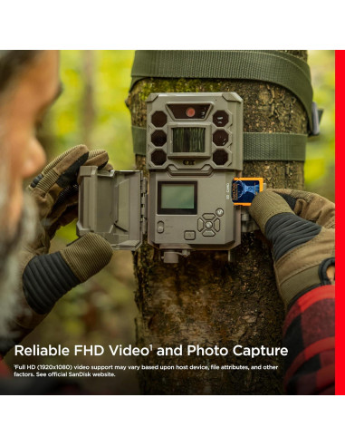 Tarjeta SD SanDisk 32GB 2-Pack UHS-I para Cámaras de Sendero