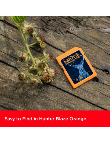 Tarjeta SD SanDisk 32GB 2-Pack UHS-I para Cámaras de Sendero