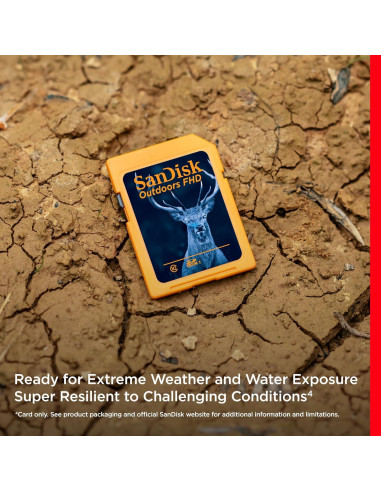 Tarjeta SD SanDisk 32GB 2-Pack UHS-I para Cámaras de Sendero